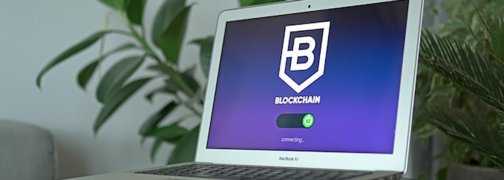 Blockchain network visualized as a digital web connecting academic institutions